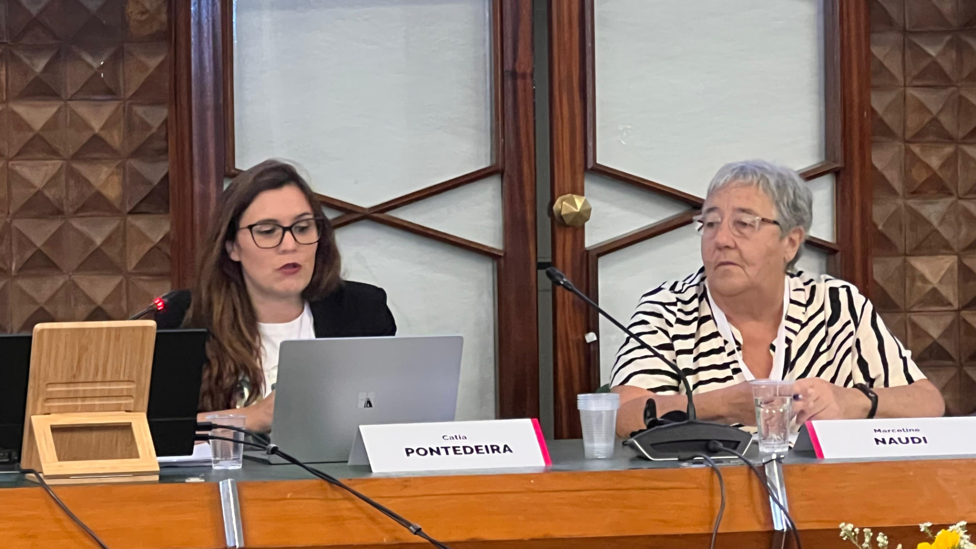 Preventing and Combating Sexual Violence and Femicide
